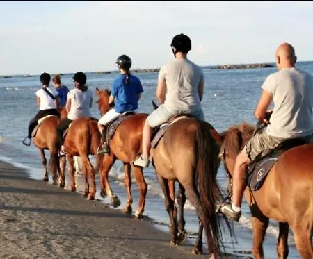 Tasso 25 Bilo Llido Degli Estensi